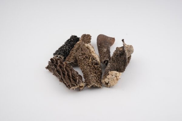 Snack Natural rumen de vacuno