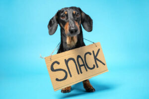 Snacks para perro