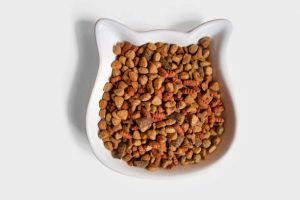 Bowl of dry food for cats